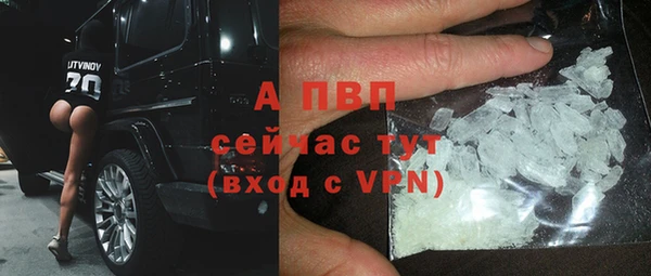 тгк Сатка