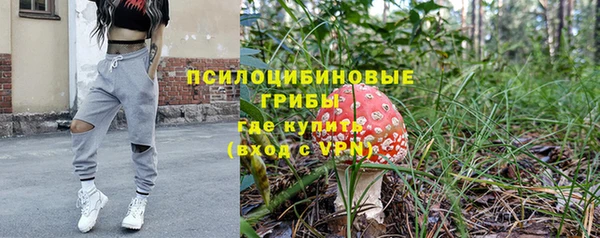 ГАЛЛЮЦИНОГЕННЫЕ ГРИБЫ Аркадак