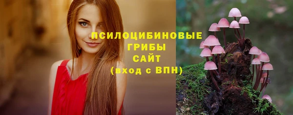 мдпв Армянск
