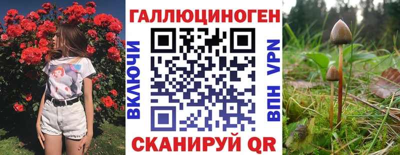 купить наркотики цена  Сергач  Галлюциногенные грибы Cubensis 